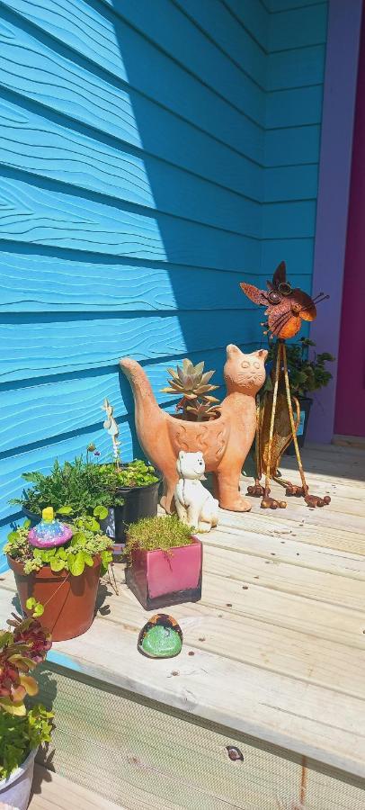 Cat Nap Cottage Bettys Bay Exterior photo